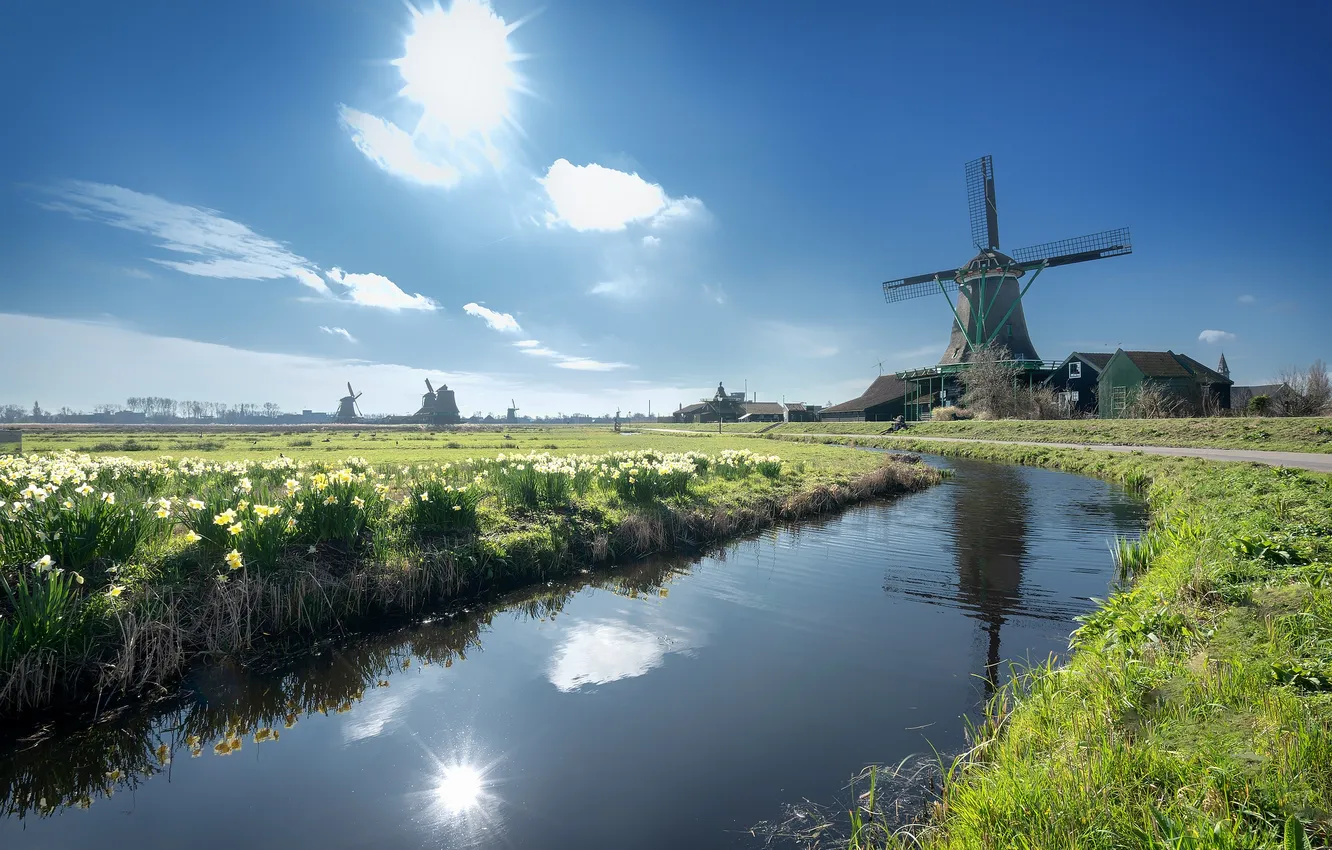 Photo wallpaper field, the sun, blue, shore, channel, pond, windmill