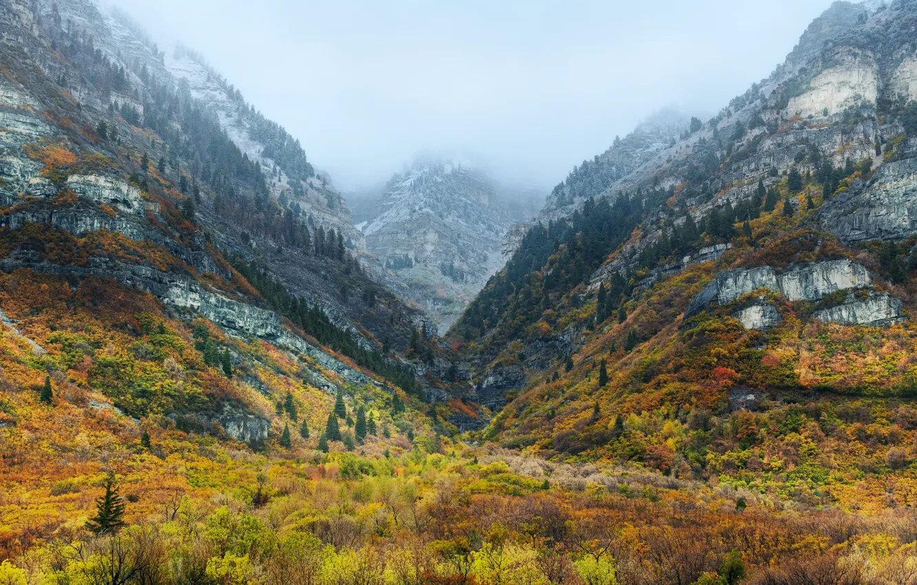 Photo wallpaper autumn, USA, Utah, Wasatch Mountains