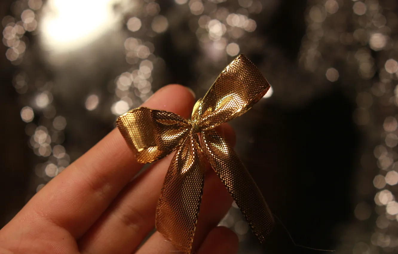 Photo wallpaper fingers, bow, bow