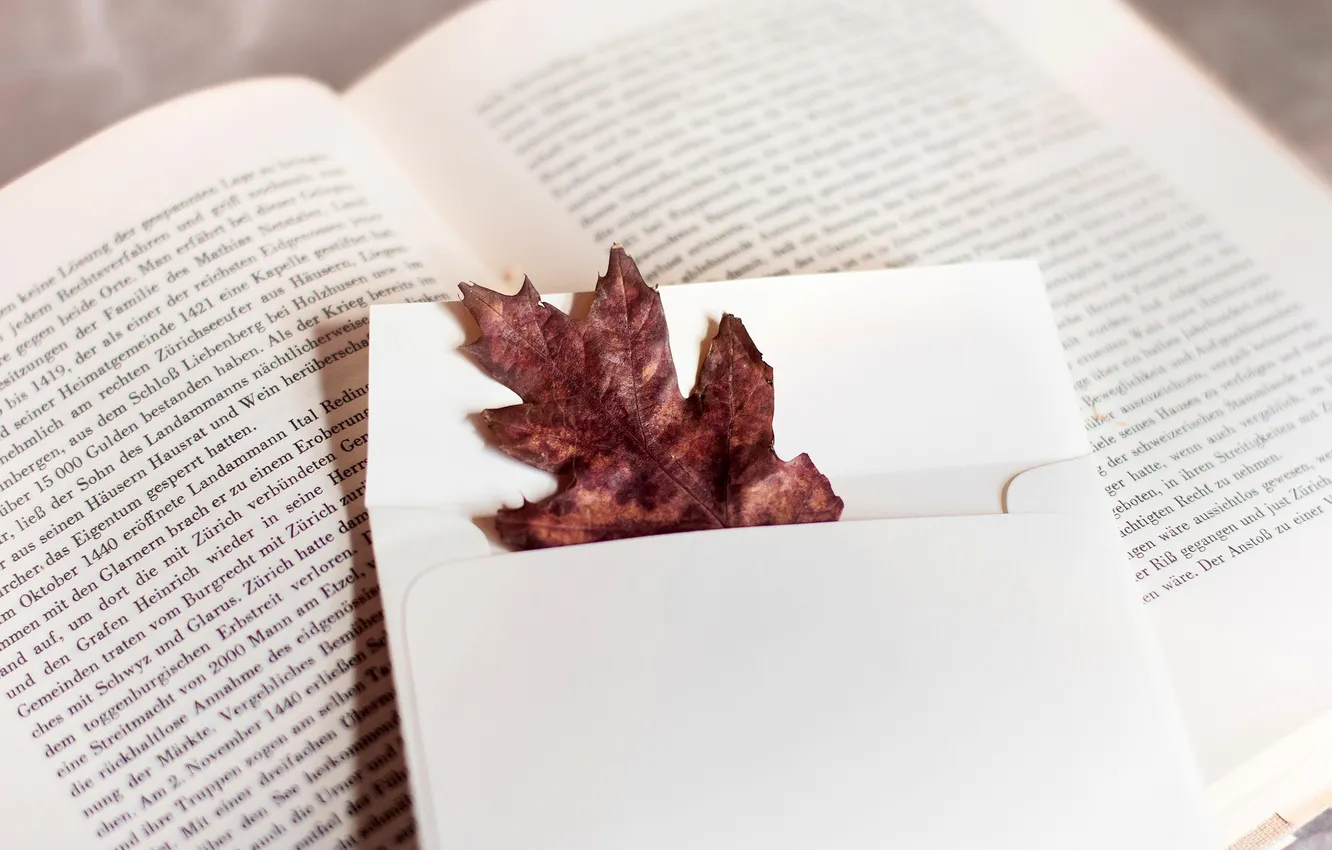 Photo wallpaper autumn, white, leaves, text, leaf, book, page, the envelope