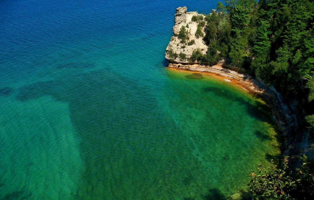 Photo wallpaper forest, water, trees, open, rocks, Bay, Laguna, tabs