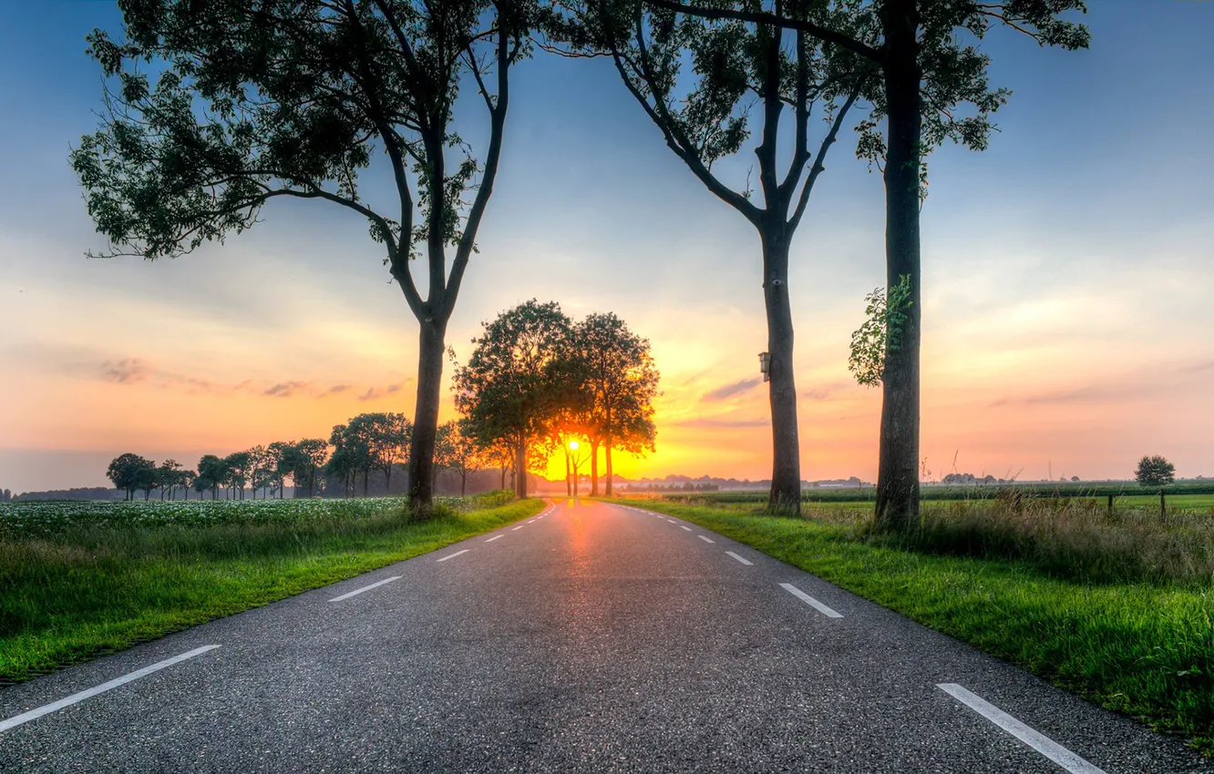 Photo wallpaper road, field, trees, sunset