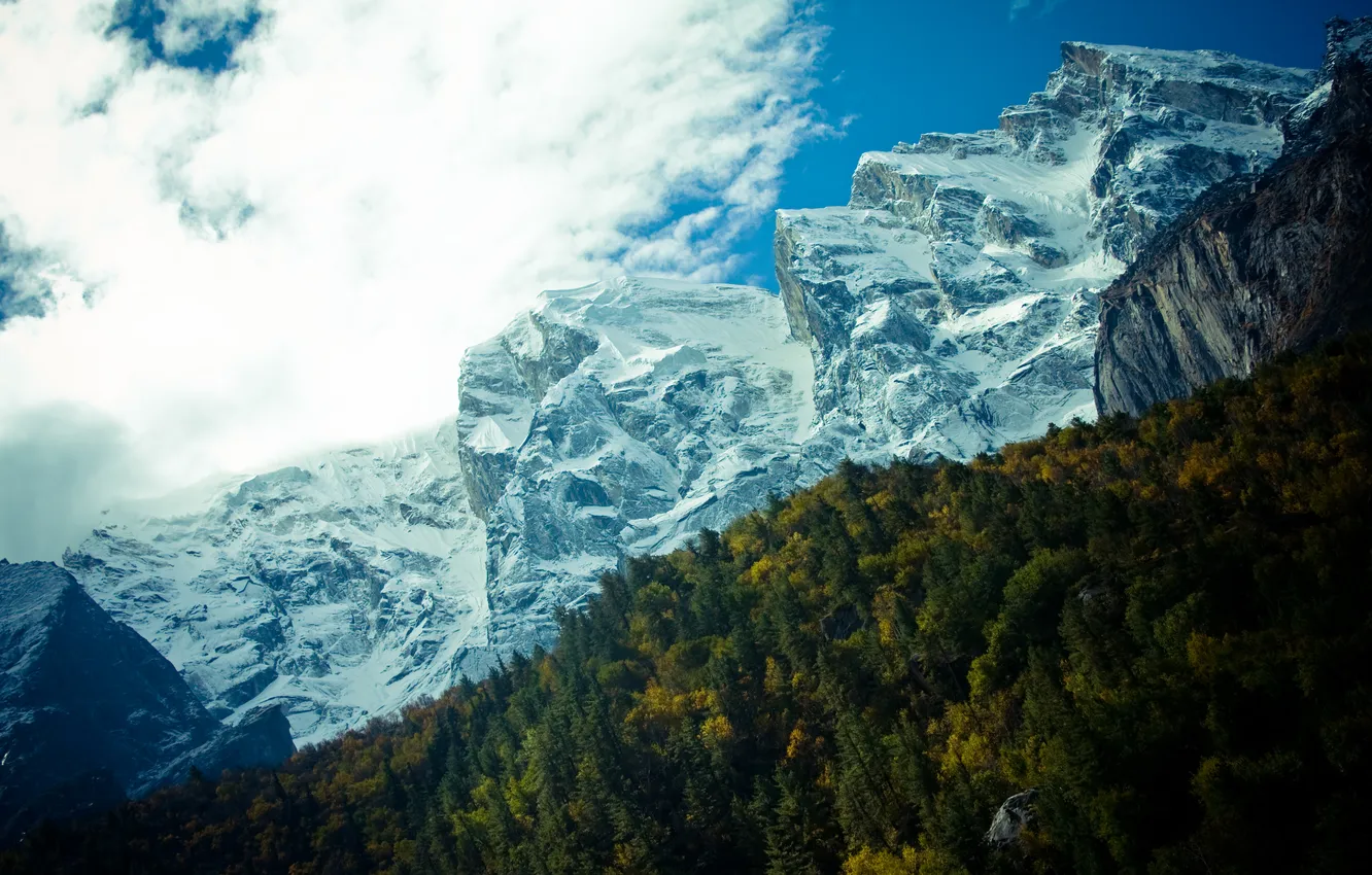 Photo wallpaper autumn, forest, the sky, clouds, snow, mountains, blue, rocks