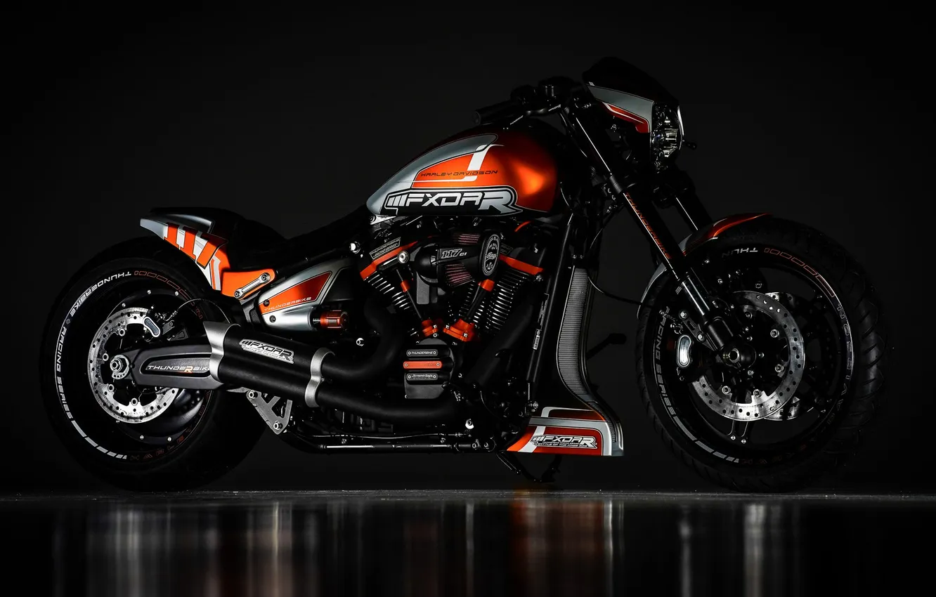 Photo wallpaper motorcycle, Harley Davidson, bike, Thunderbike customs