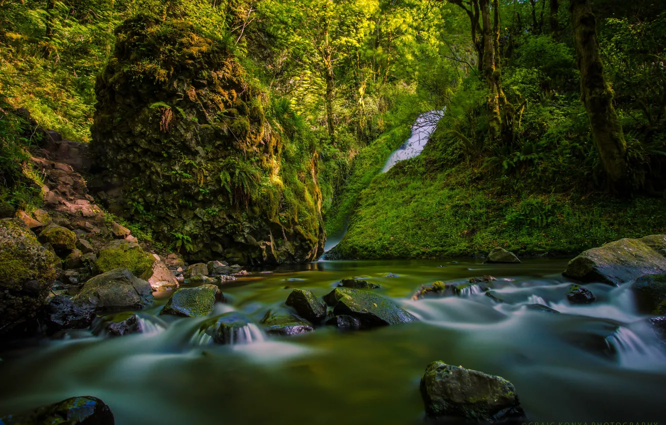 Photo wallpaper forest, river, stones, waterfall, river