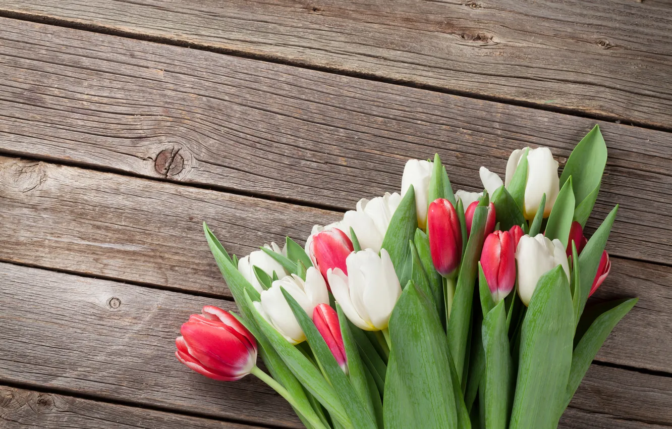 Photo wallpaper flowers, bouquet, tulips, red, white, wood, flowers, tulips