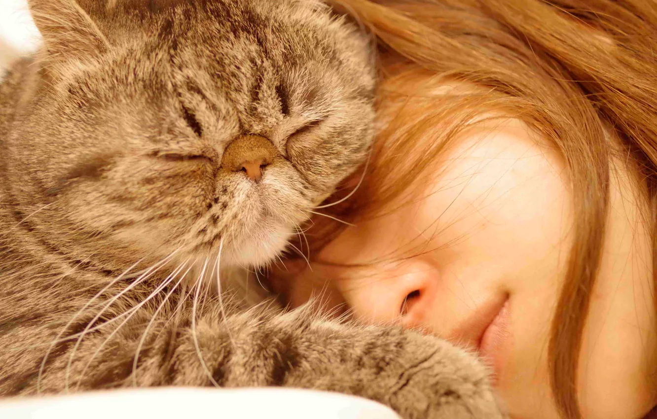 Photo wallpaper cat, girl, sleep