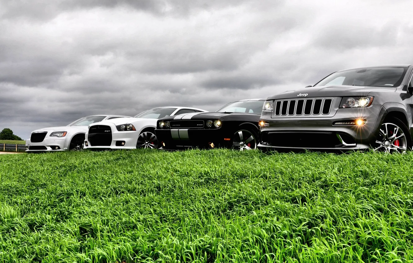 Photo wallpaper auto, the sky, grass, krastaa, jeep grand cherokee, dodge challenger str8, chrysler 300 srt8, dodge …