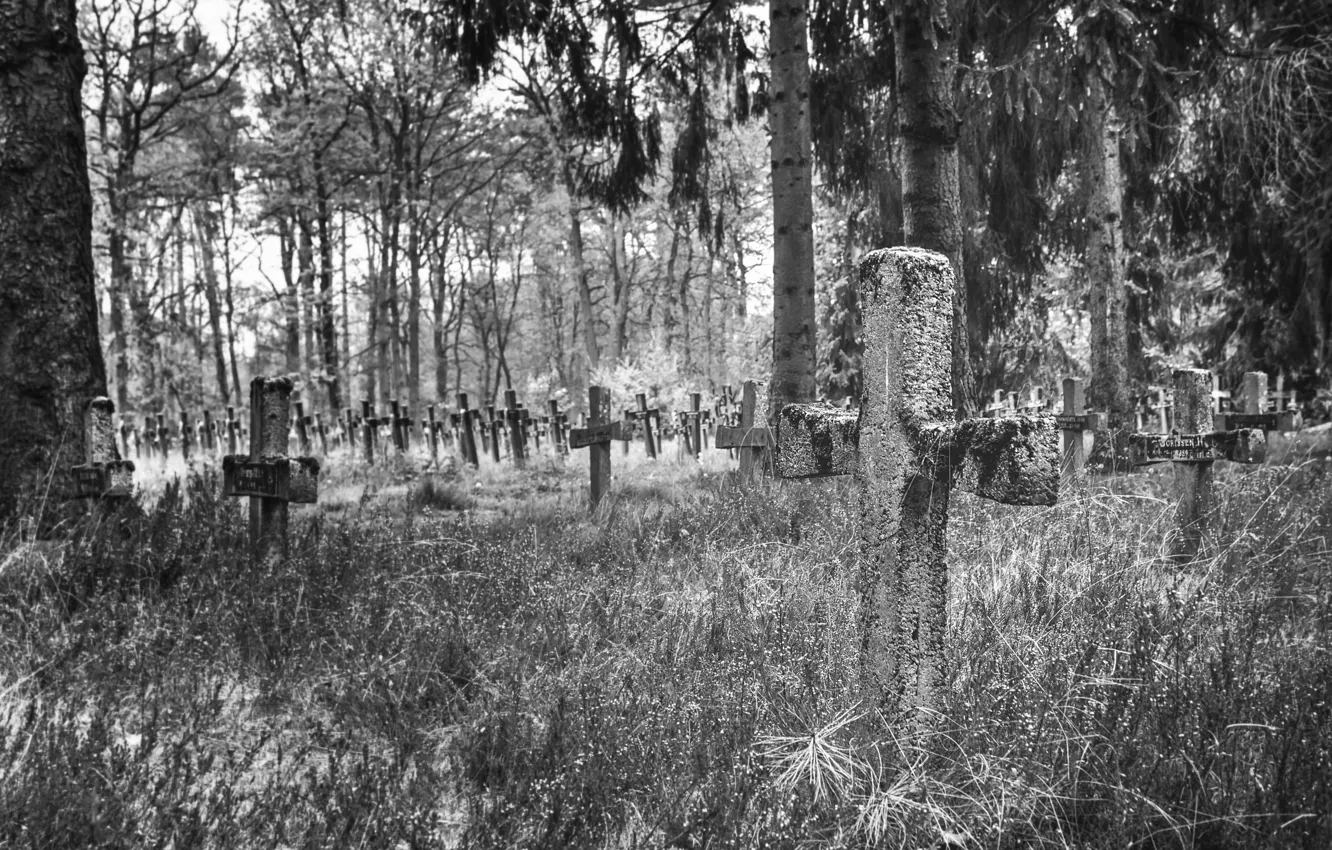 Photo wallpaper background, crosses, cemetery
