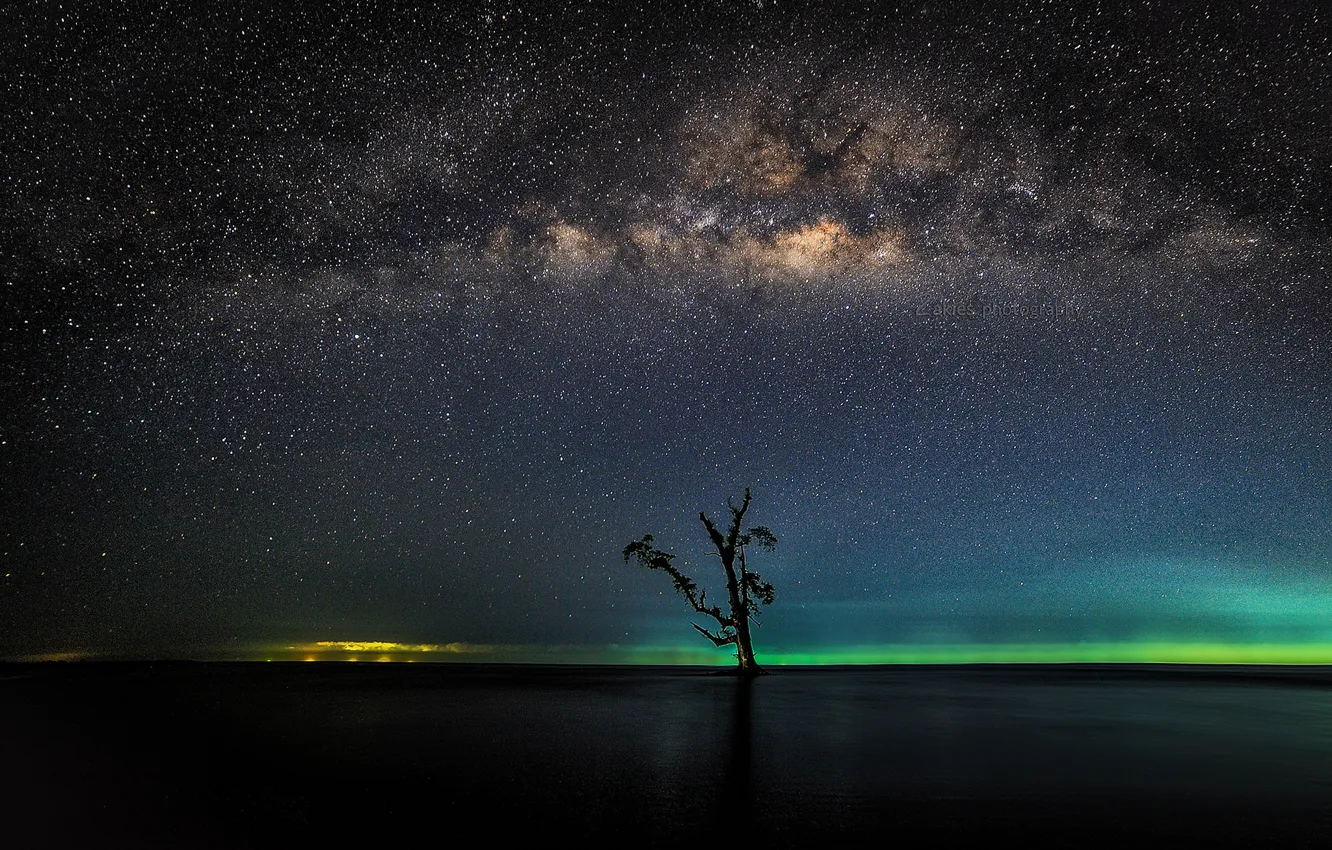 Photo wallpaper stars, lake, tree, horizon, Bay, The Milky Way, secrets
