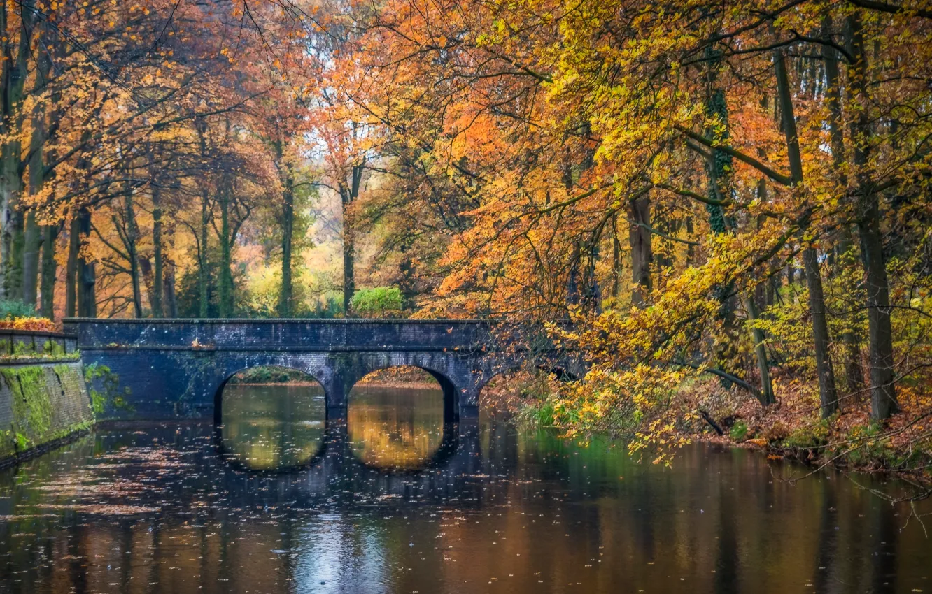 Photo wallpaper autumn, trees, bridge, Park, river, Netherlands