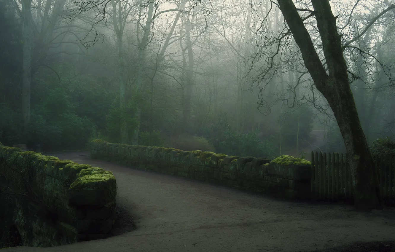 Photo wallpaper bridge, fog, Park, morning