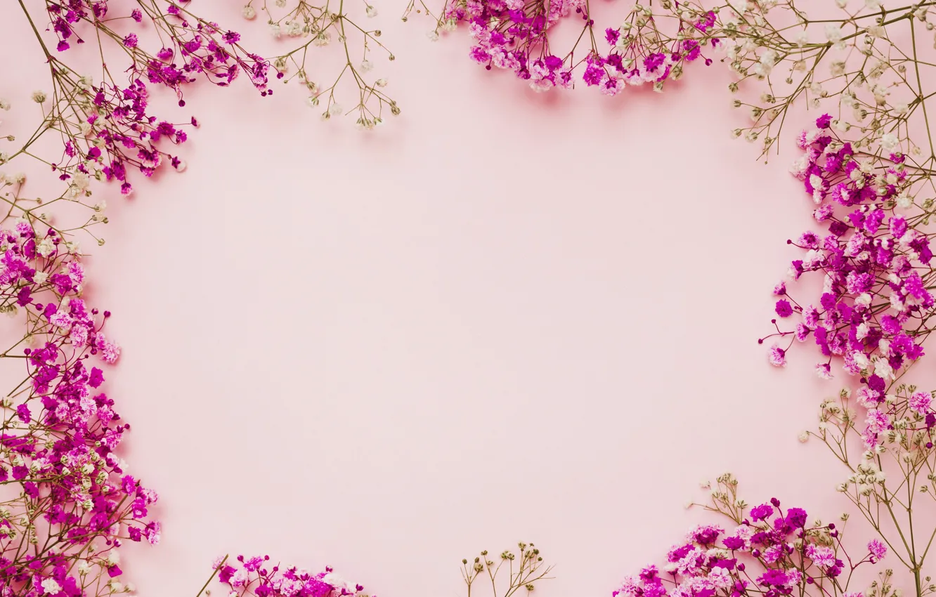 Photo wallpaper flowers, background, frame, pink, pink, flowers, frame, floral