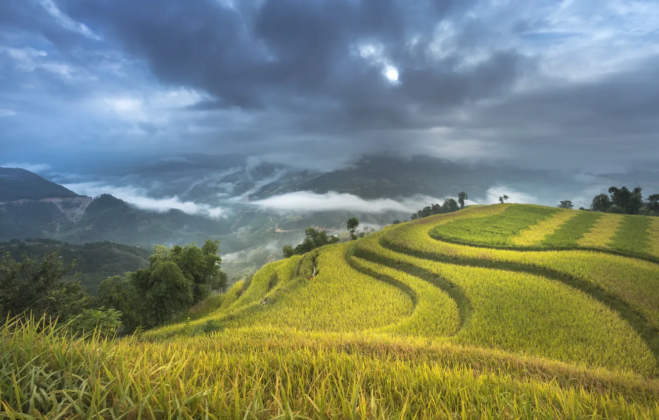 Photo wallpaper Nature, Clouds, Mountains, Figure, Field, Landscape, Vietnam, Terrace