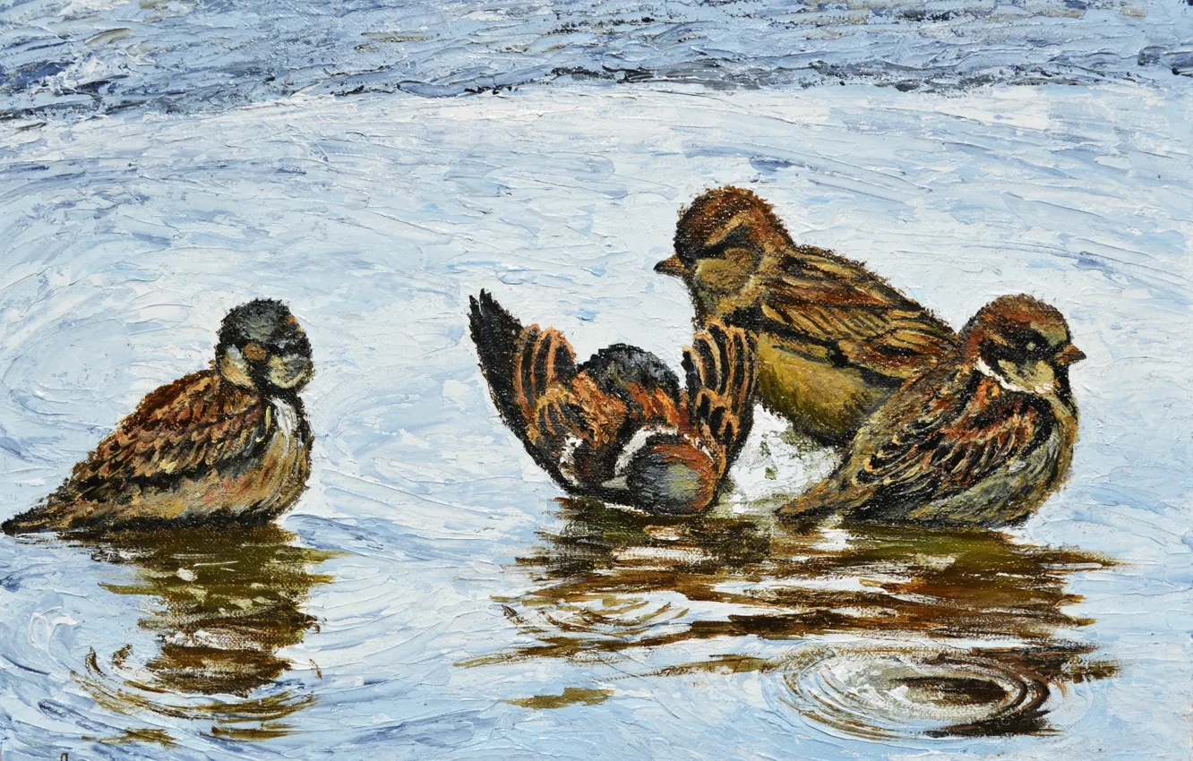 Photo wallpaper water, birds, oil, puddle, painting, canvas, sparrows, Lutsenko