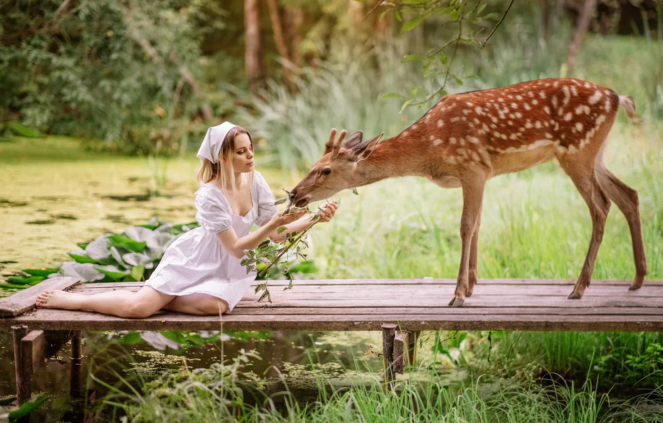 Photo wallpaper girl, nature, animal, deer, mostok, Alexandra Savenkova