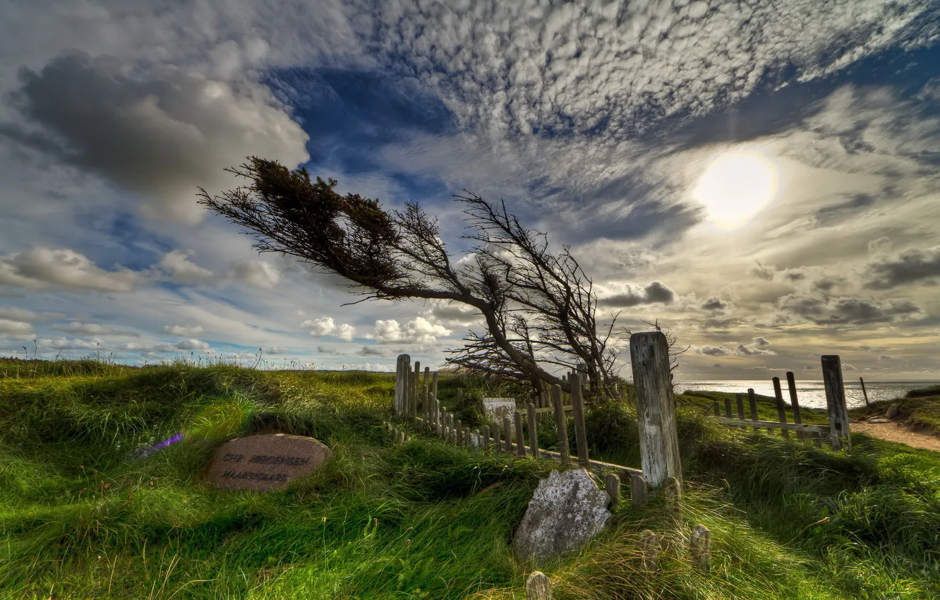 Photo wallpaper the sky, trees, monument