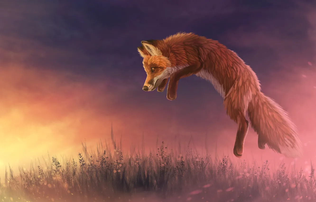 Photo wallpaper sunset, nature, jump, Fox, by CreeperMan0508