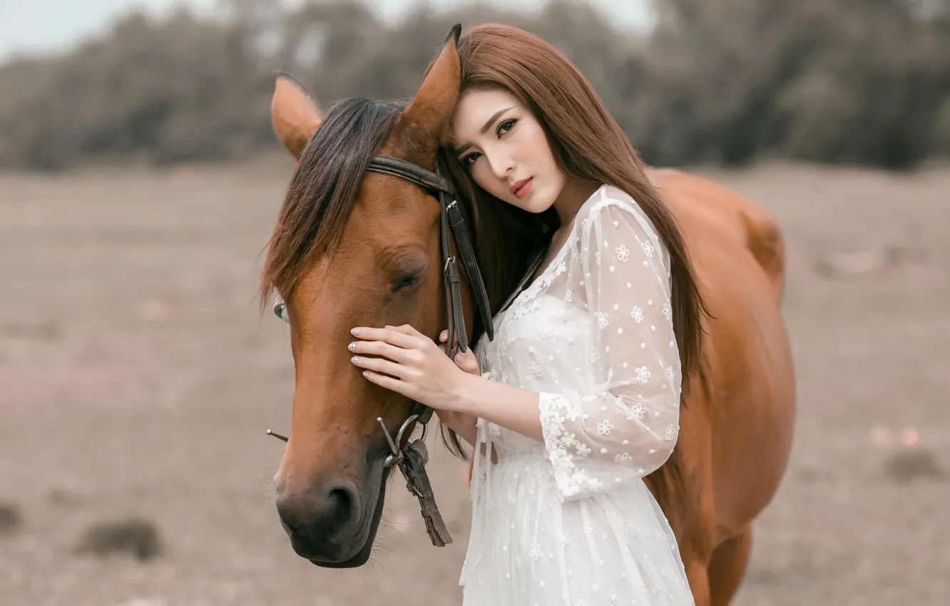 Photo wallpaper girl, horse, Asian