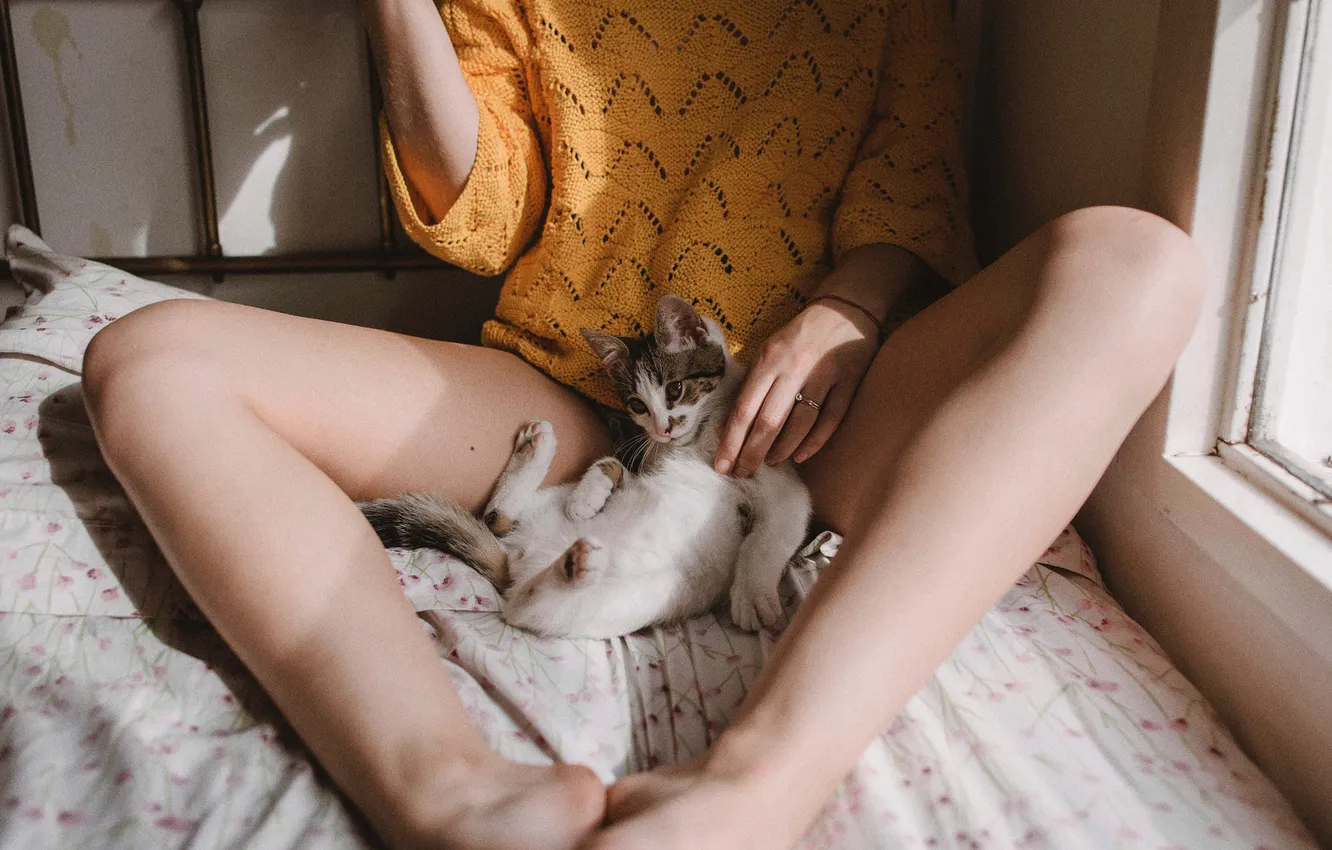 Photo wallpaper cat, girl, light, pose, each, feet, hands, mattress