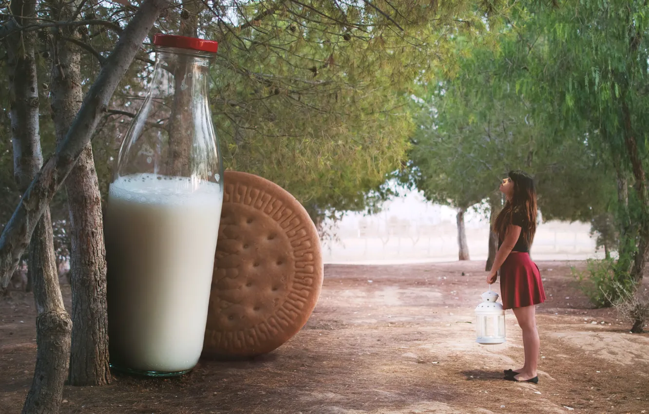 Photo wallpaper girl, milk, cookies