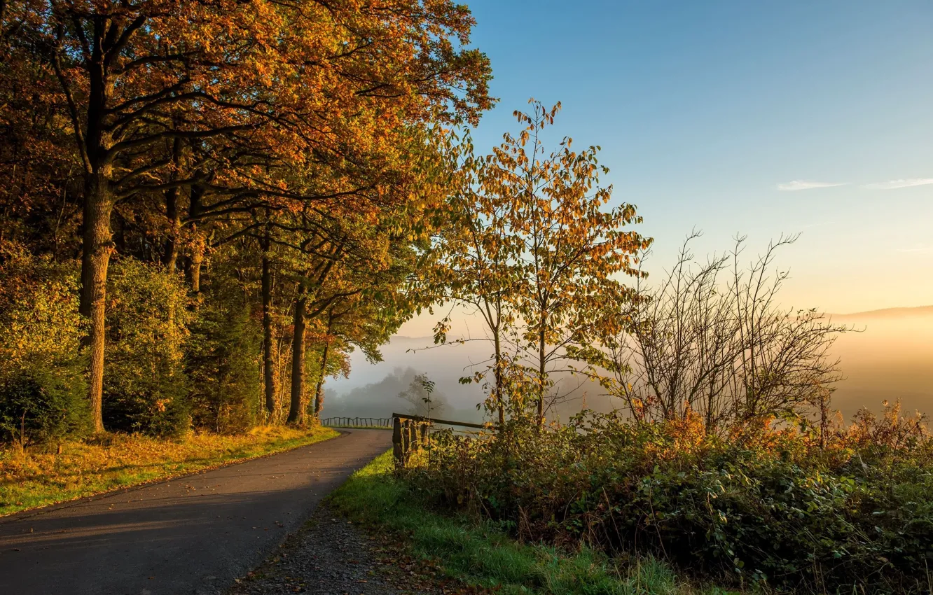 Photo wallpaper road, landscape, nature, fog, beauty, morning