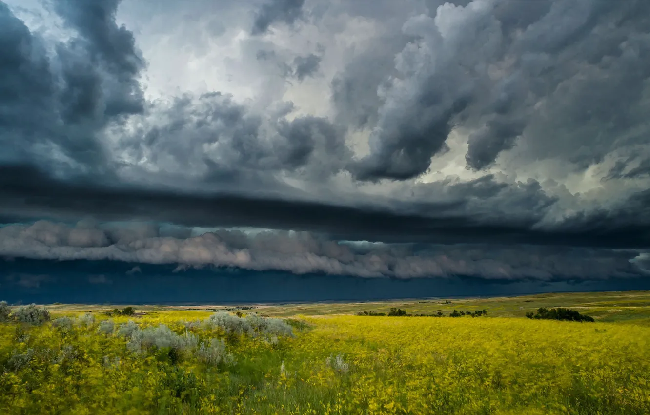 Photo wallpaper the storm, field, clouds, USA, North Dakota, National Park Theodore Roosevelt