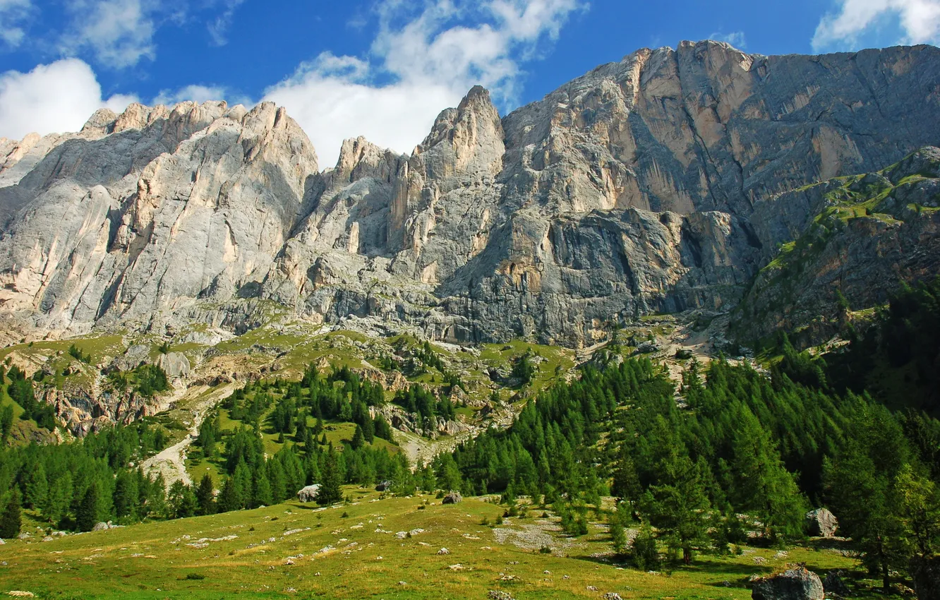 Photo wallpaper mountains, rocks, Italy, Italy, trees.