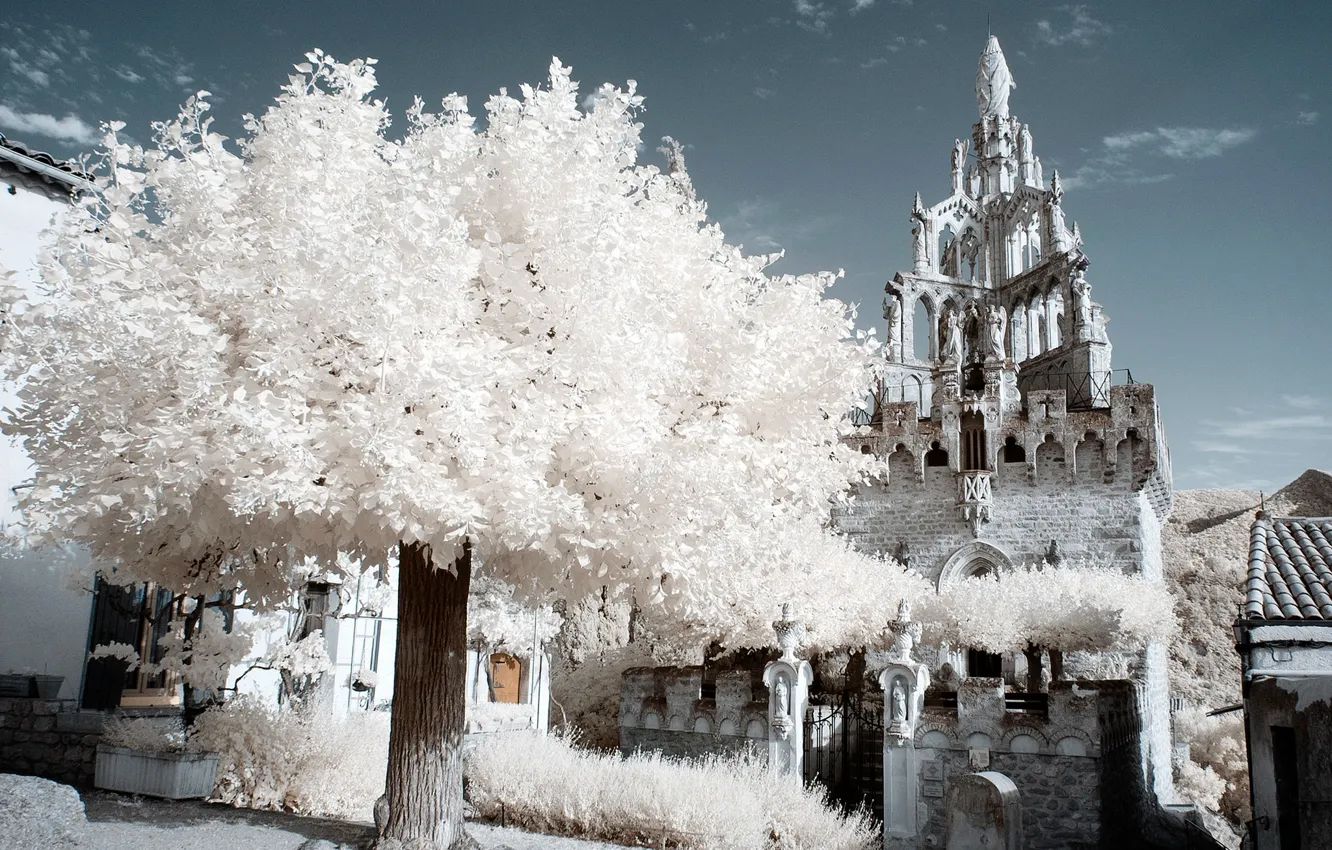 Photo wallpaper tree, France, Provence, Nyon, infrared the, Notre Dame de Bon Secour
