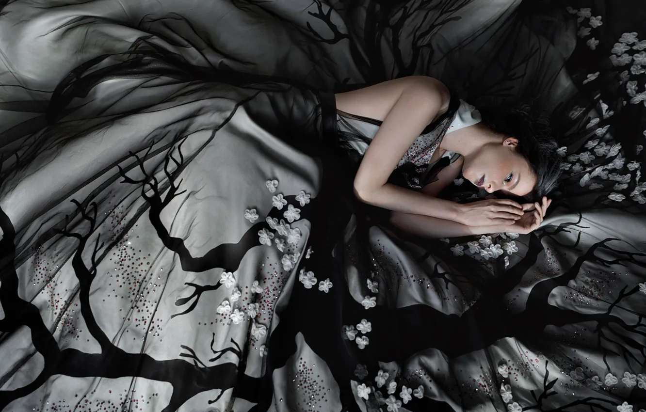 Photo wallpaper girl, style, dress, lies, Annie, Svetlana Boynovich