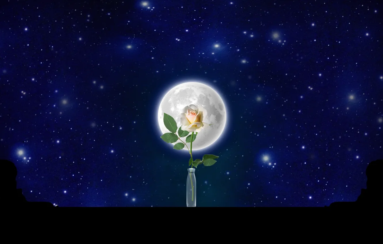 Photo wallpaper rose, night, stars, Fullmoon