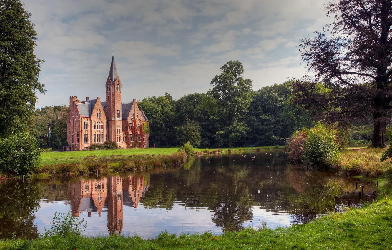 Photo wallpaper forest, lake, castle