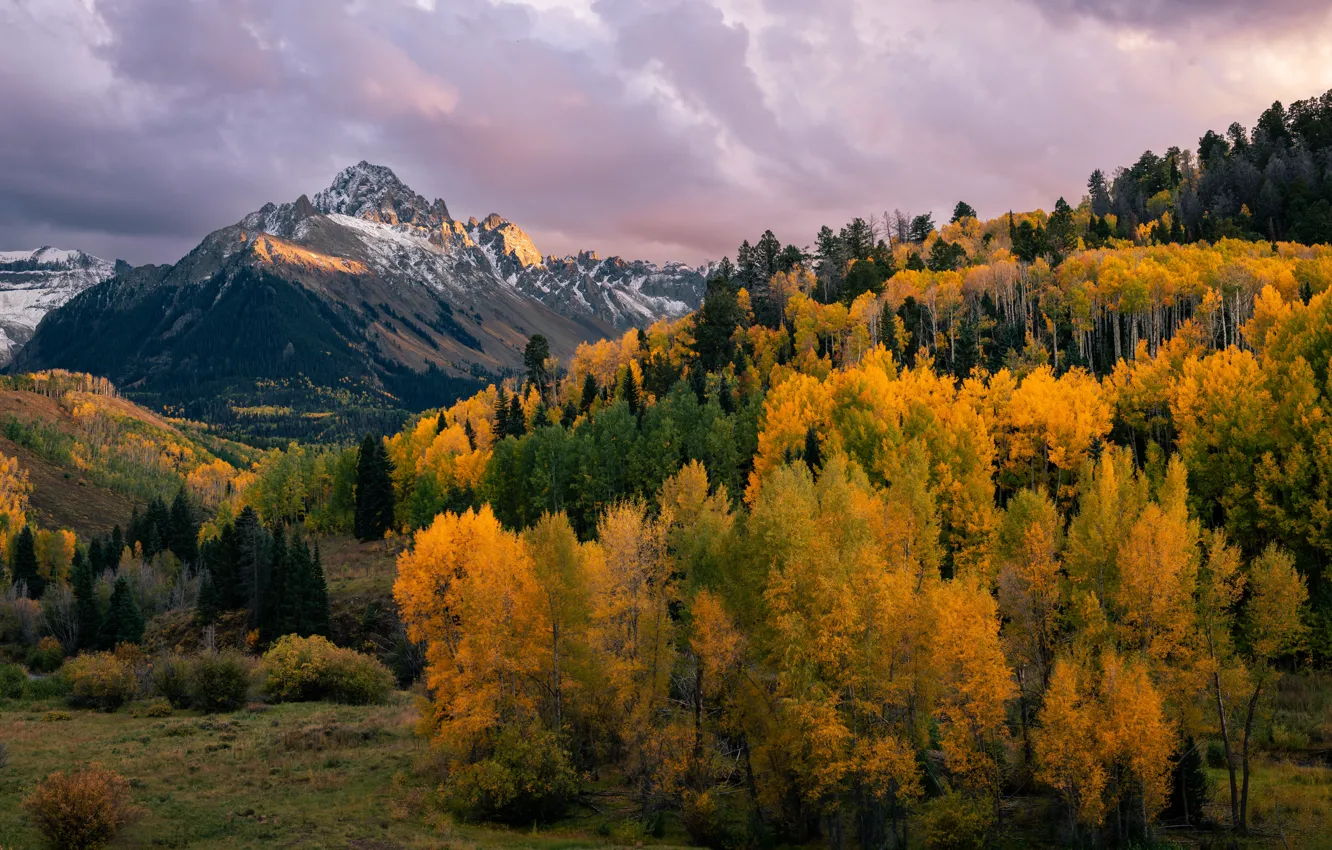 Photo wallpaper autumn, forest, landscape, mountains, view