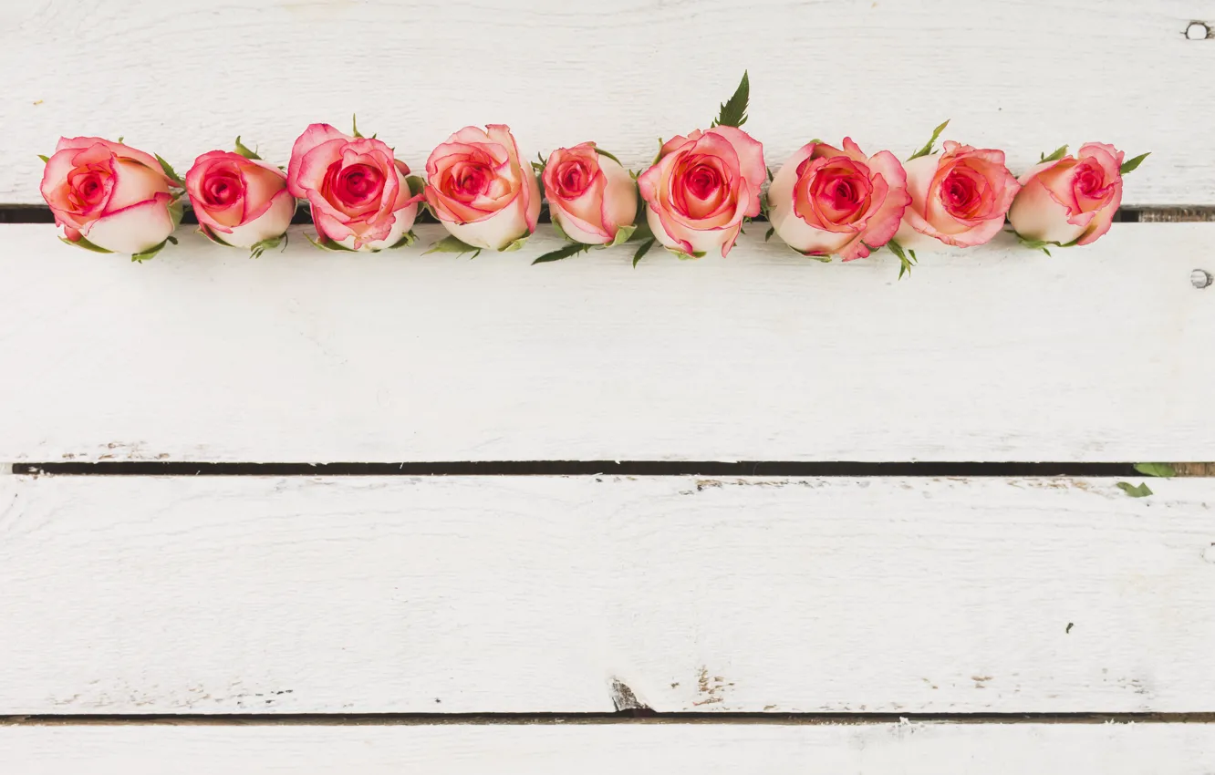 Photo wallpaper roses, buds, wood, flowers, beautiful, decor, roses