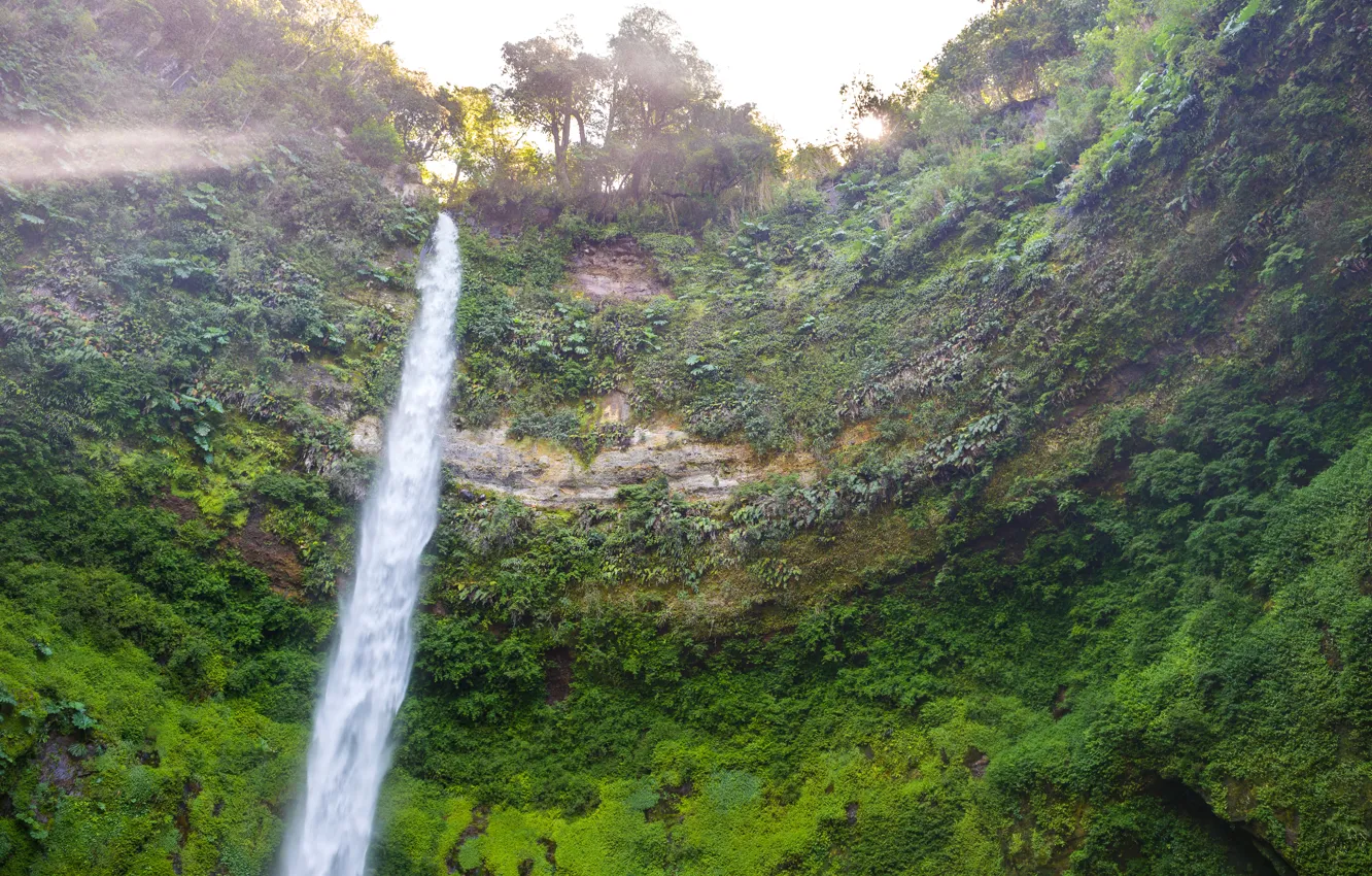 Photo wallpaper rocks, waterfall, Chile, Conguillio
