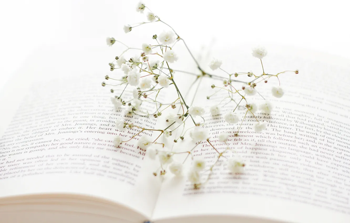 Photo wallpaper flowers, sprig, branch, book, white