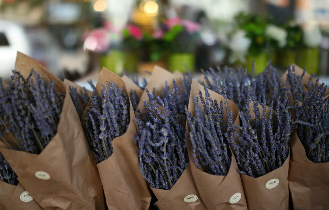 Photo wallpaper flowers, a lot, lavender