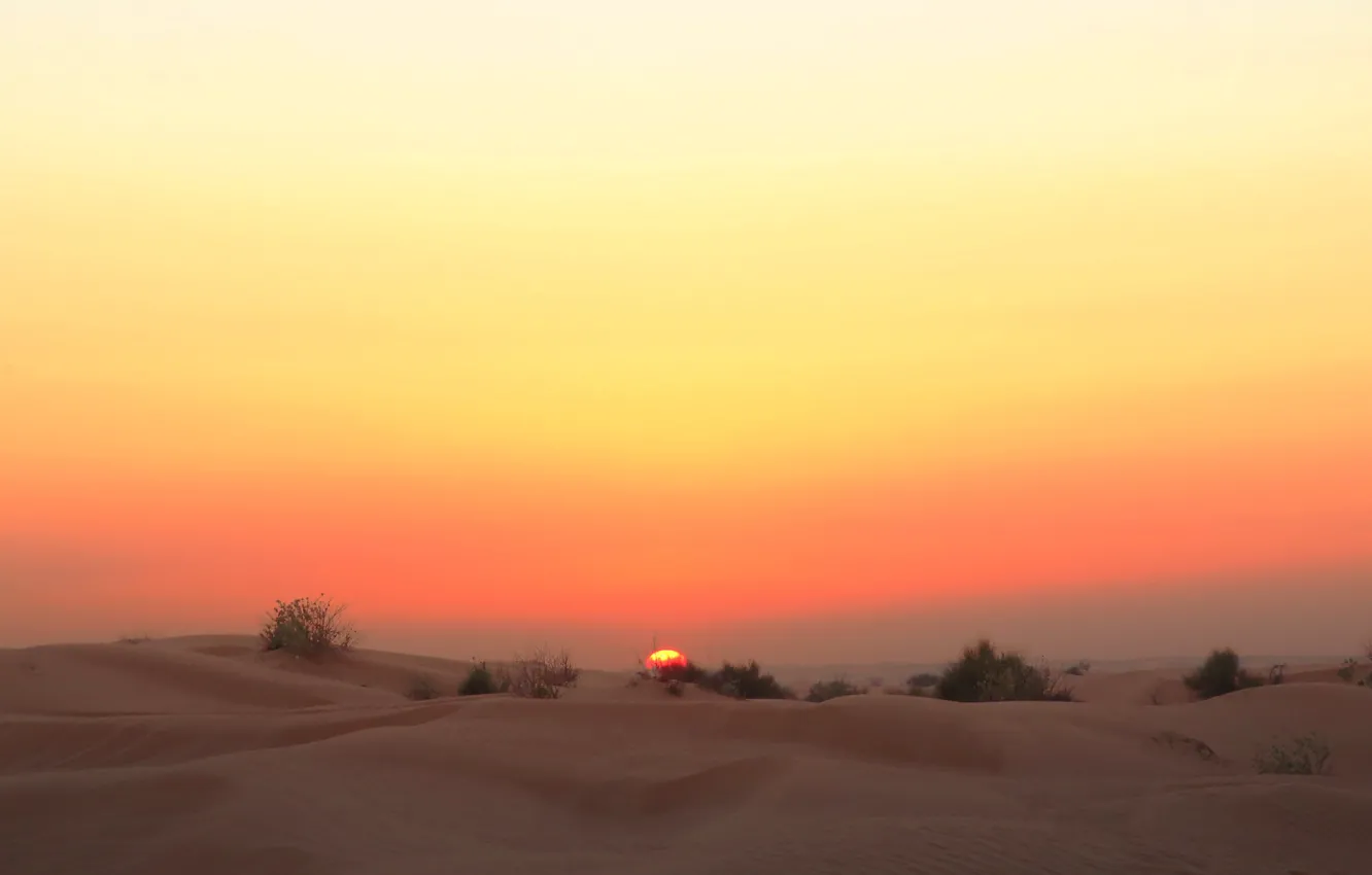 Photo wallpaper sunset, the dunes, desert