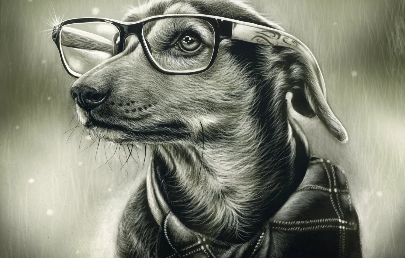 Photo wallpaper dog, glasses, picture a simple pencil