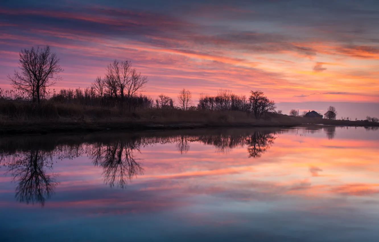 Photo wallpaper the sky, water, clouds, trees, sunset, nature, surface, reflection