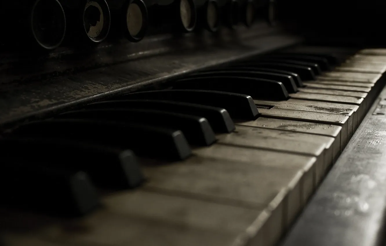 Photo wallpaper macro, keys, old, piano