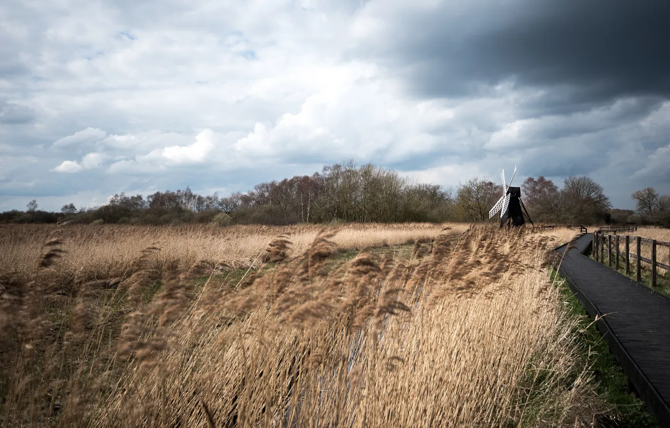 Photo wallpaper field, nature, mill