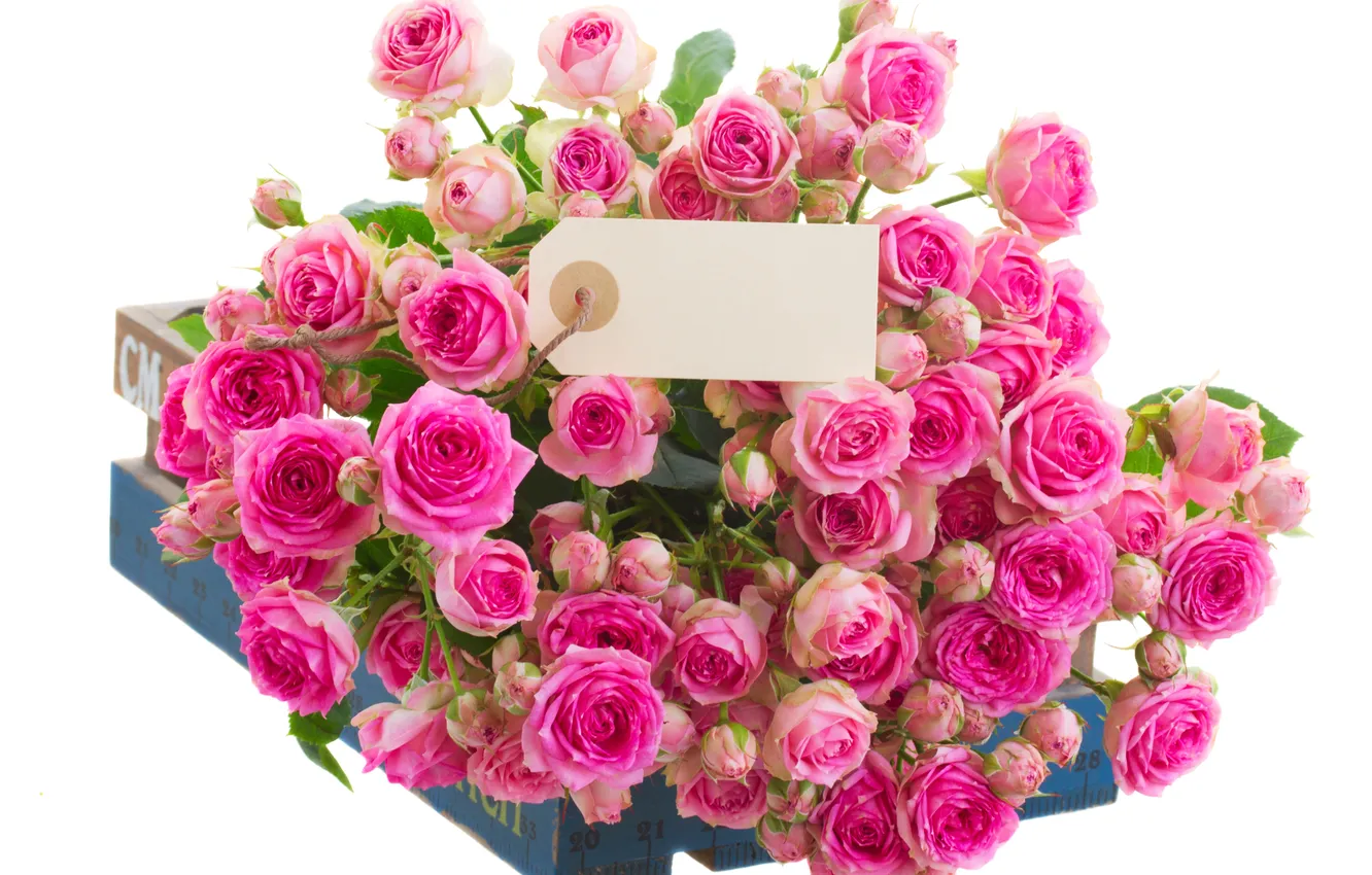 Photo wallpaper roses, box, postcard