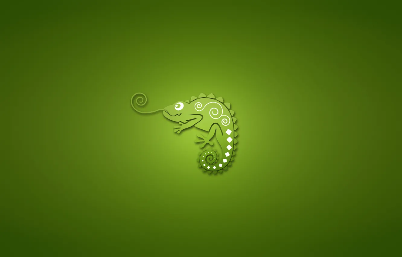 Photo wallpaper chameleon, minimalism, green background, chameleon