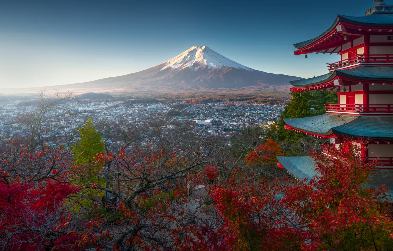 Photo wallpaper trees, the city, mountain, Japan, Fuji, pagoda, Japan, Mount Fuji