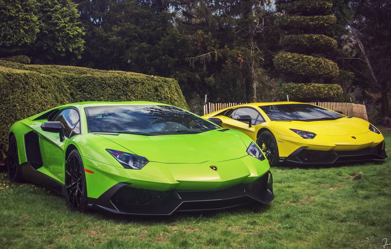 Photo wallpaper Grass, Lamborghini, Trees, Lamborghini, The bushes, Green, Yellow, Aventador