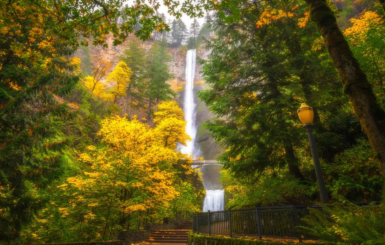 Photo wallpaper autumn, forest, trees, fog, Park, rocks, view, waterfall