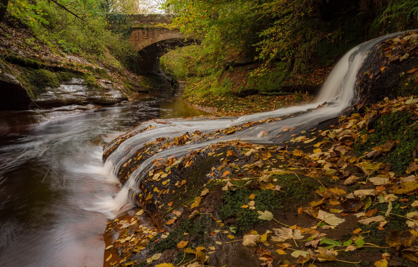 Photo wallpaper autumn, leaves, bridge, river, England, waterfall, England, Cumbria