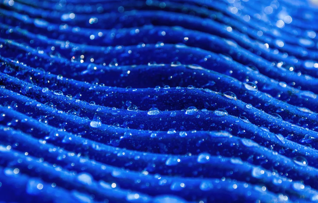 Photo wallpaper macro, water drops, blue background, water droplets, Dew Drops