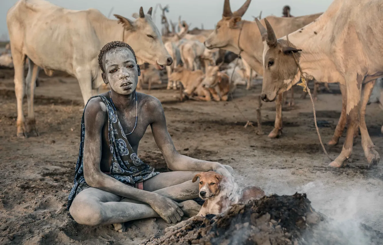 Photo wallpaper people, dog, cattle, Terekeka, South Sudan